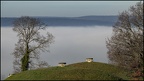 Saligny 5