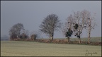 Saligny 8