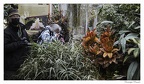 IMG 0328 copie