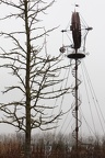 c nature & technique