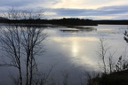 IMG 9782