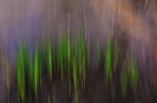 Abstraction - Defi