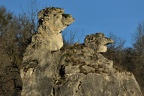 IMG 3452 (3)