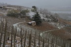 SARRAS - 0014 (2)