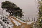 SARRAS - 0021 (3)