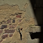 0007 - Joigny - Patrick
