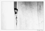 IMG 7450 copie