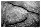IMG 7531 copie