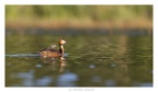Jo-04-Ballade en couleur