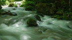 IMGP7343 (3)
