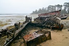 DSC 4917