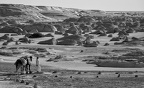 JMG desert blanc.16