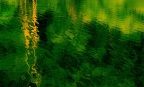 P1002623